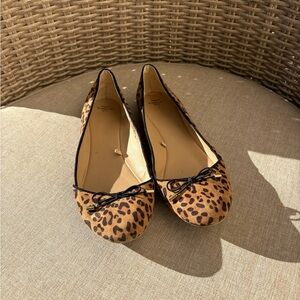 Zara Animal Print Flats with Black Bow